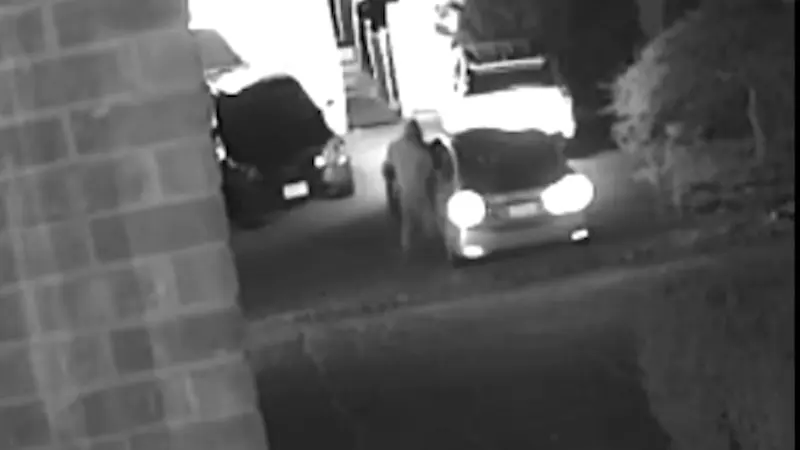 Story image: Central Islip teen arrested, accused of stealing car with 3-year-old inside in Brentwood