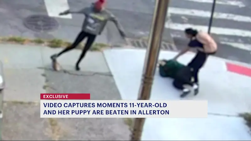 Story image: 'She’s traumatized.' Allerton mom calls for action after daughter and puppy attacked on walk after school