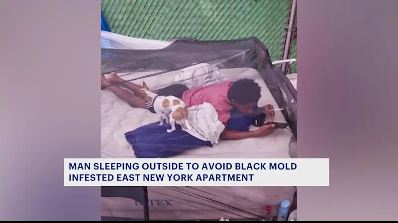 Story image: East New York man says he has to sleep outside because of black mold, leaks in apartment