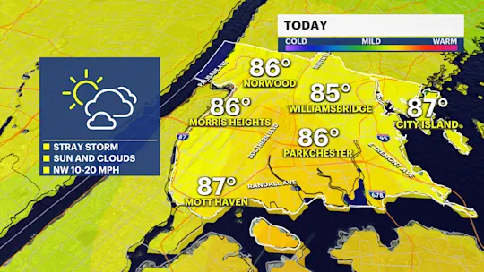 BX F P1 AM 2