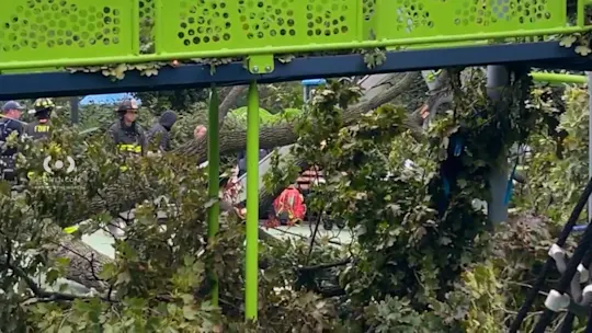 927bktreeinjuries_2026-09-27-07-09-02