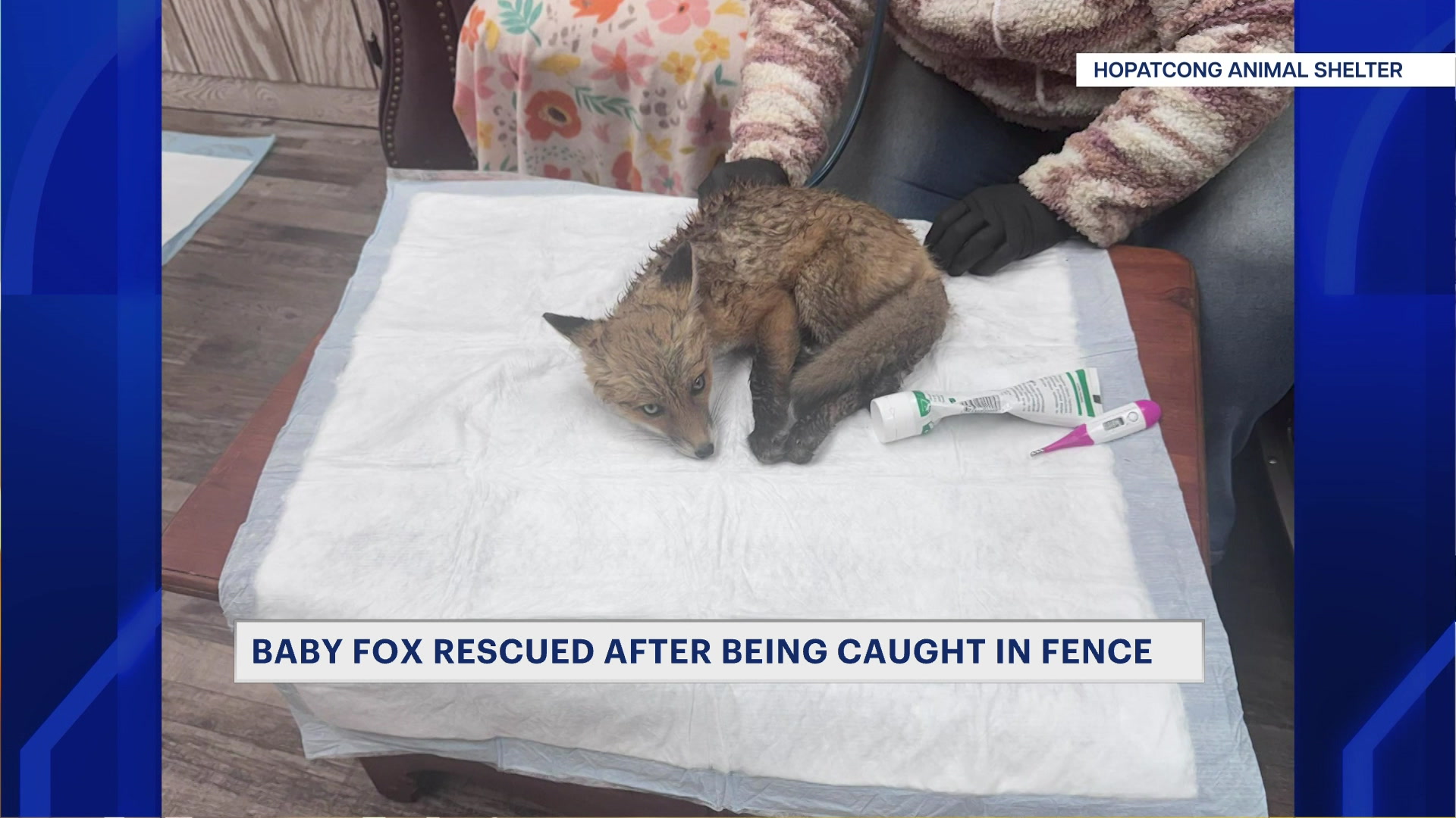 58foxrescue_2026-05-08-06-27-09