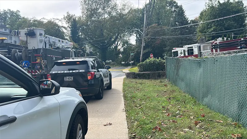 Story image: Fallen tree in Yonkers damages car, knocks out power