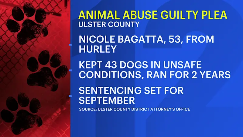 Story image: Ulster County pleads guilty to animal torture after 2 years on the run