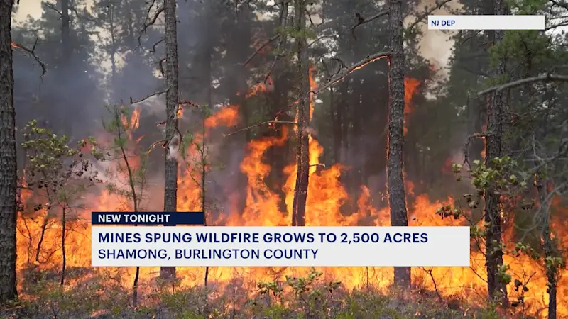 Story image: Officials: Wildfire burns at least 2,500 acres in Wharton State Forest