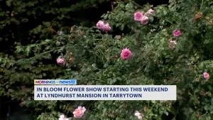 Lyndhurst In Bloom flower show is this weekend at Lyndhurst Mansion