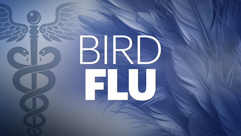 Story image: Officials: Bird flu detected in New Haven County; 2nd case in the state