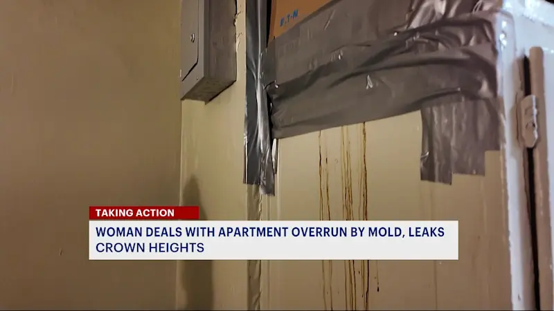 Story image: Brooklyn woman battles mold infestation in Crown Heights NYCHA apartment