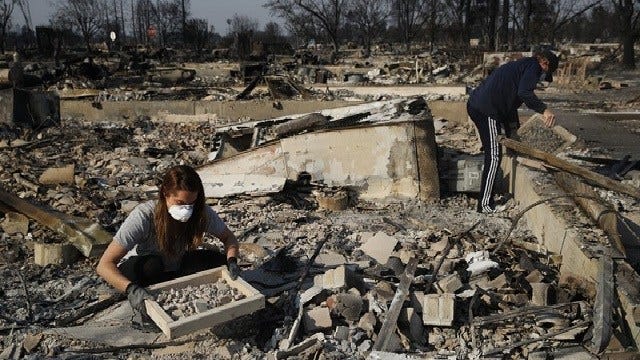 Article 135627 Thumbnail