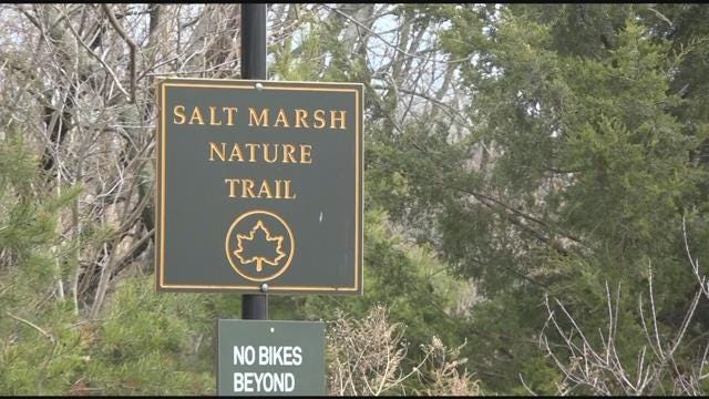 Article 49973 Thumbnail