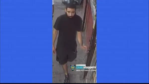 NYPD: Man wanted for stealing pit bull outside of Morrisania store