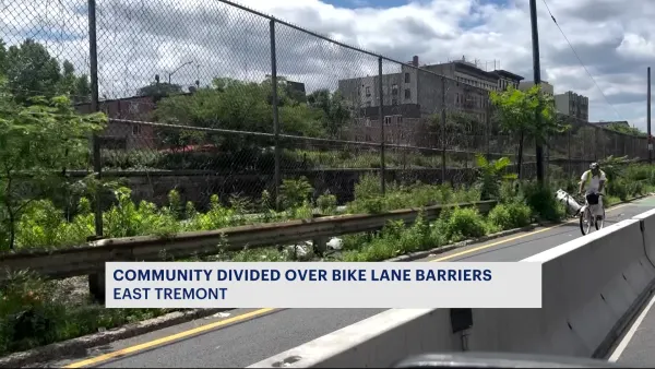 Community members split on additional protection of bike lanes along Park Avenue