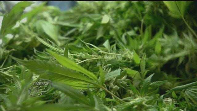 Article 43154 Thumbnail