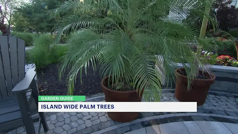 Story image: Local Long Island business has a very creative way of bringing summer to Long Island
