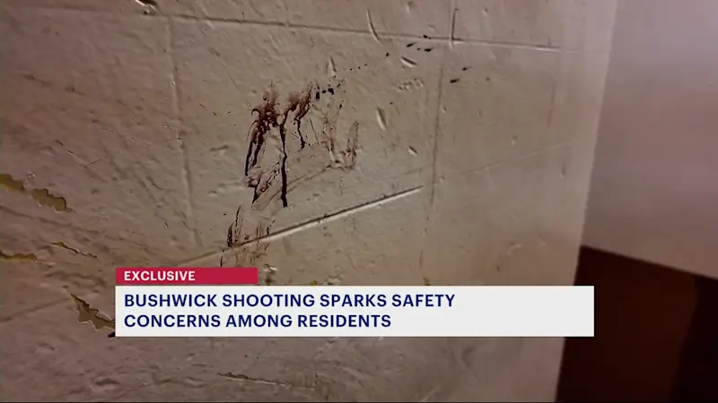 Story image: Bushwick shooting sparks safety concerns among residents