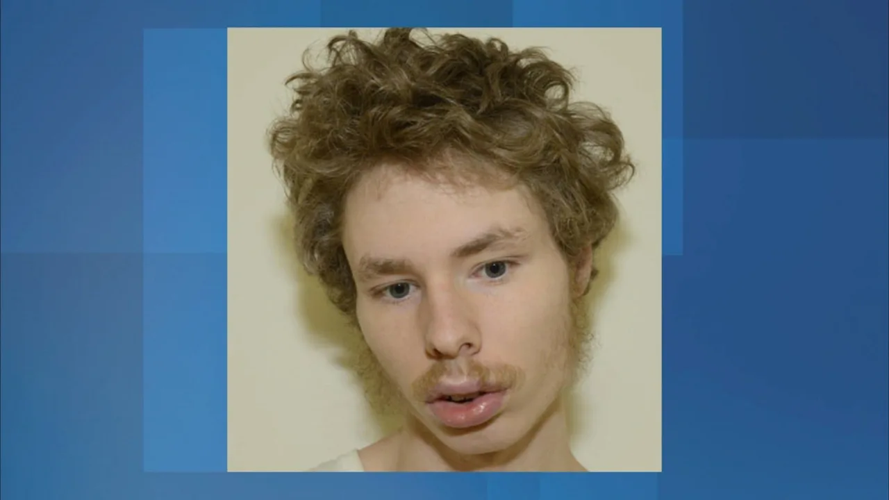 Article 117381 Thumbnail