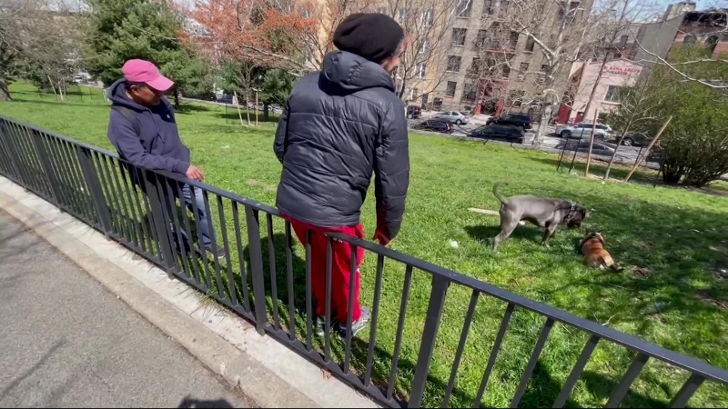 Story image: Brooklyn dog owners reopen conversation with city on Sunset Park off-leash hours