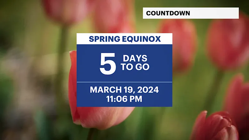 EF_SeasonCountdown.png