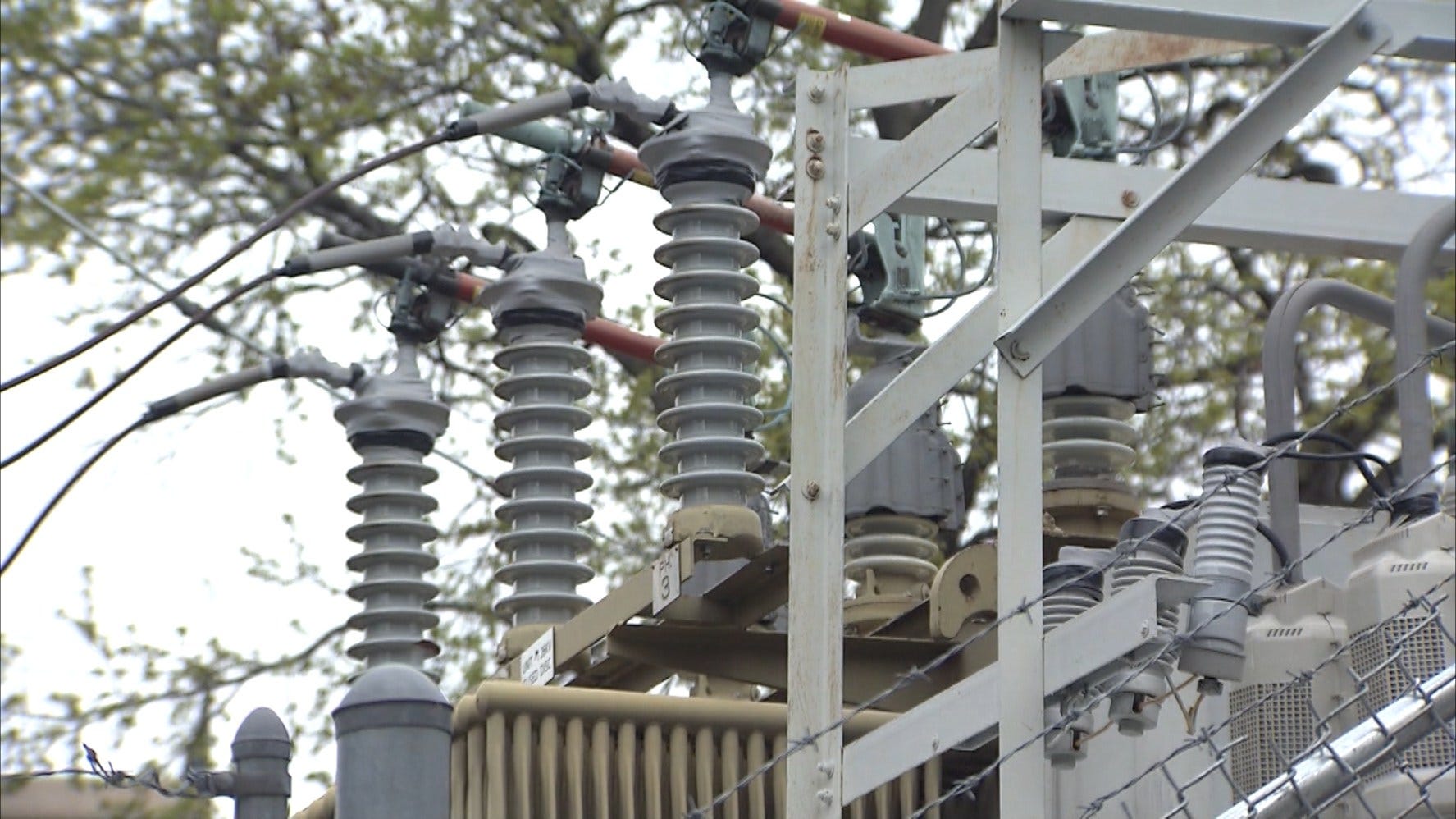 Article 114908 Thumbnail