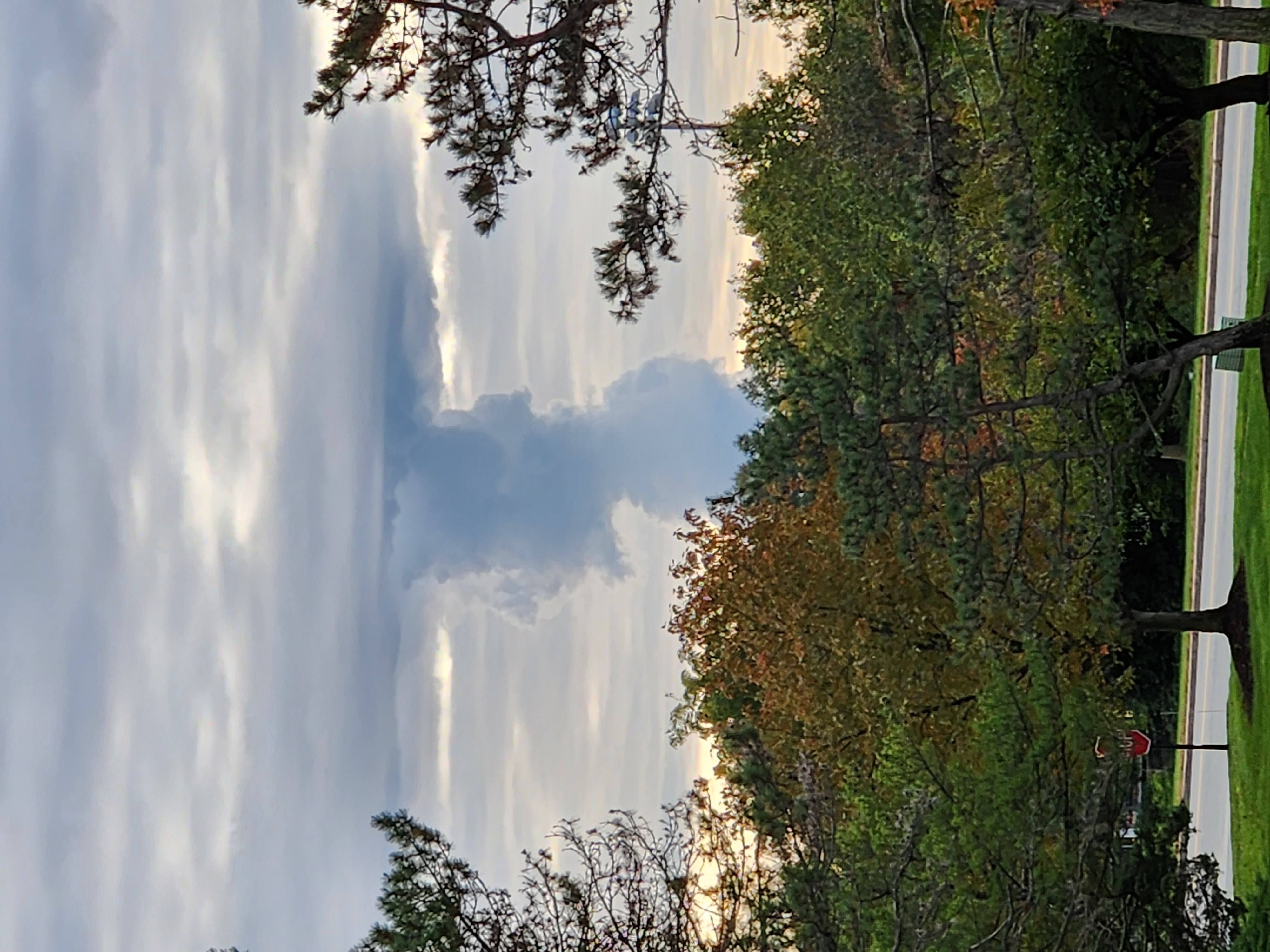 20231018_085015 (1).jpg