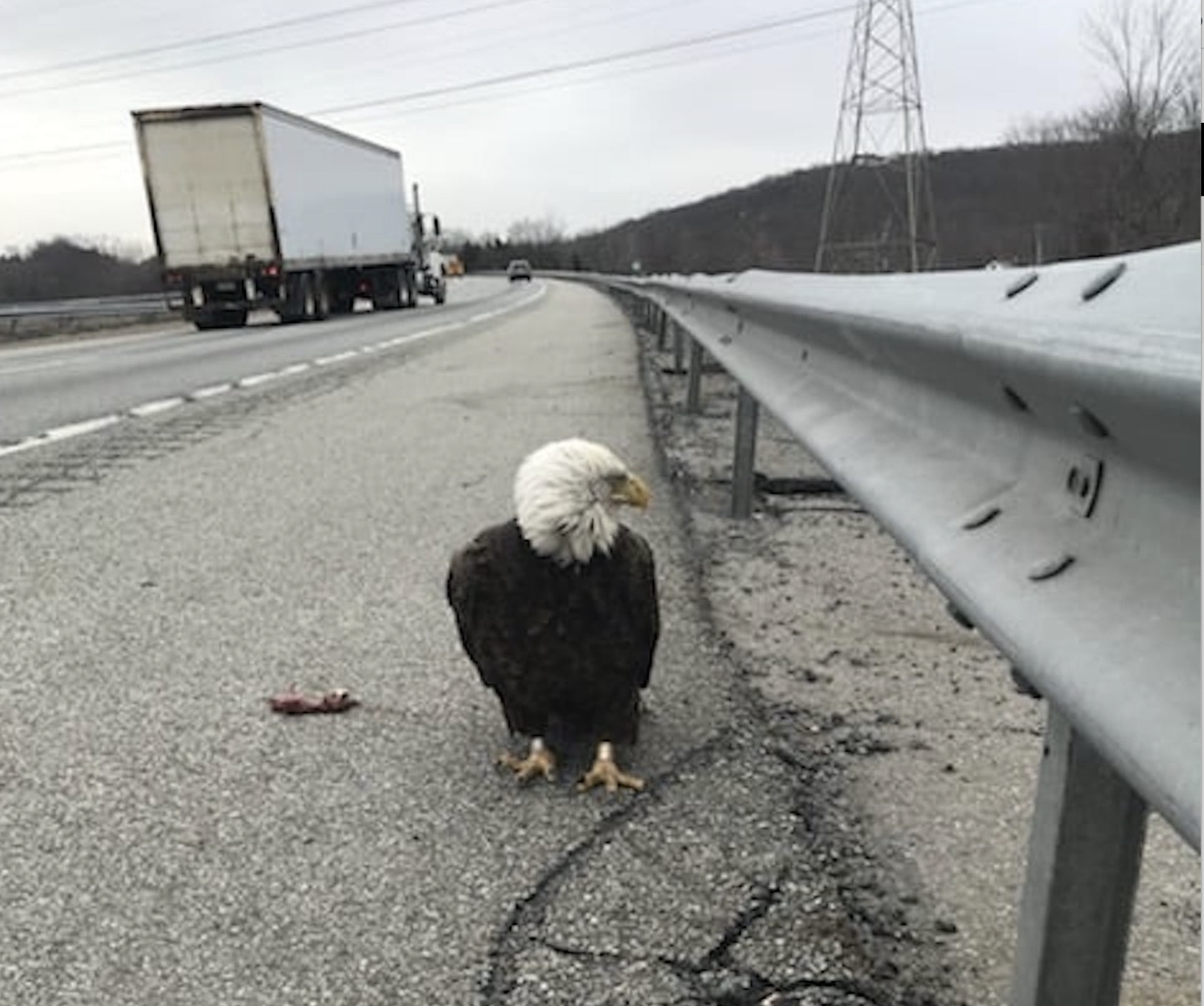 Article 255490 Hero Image