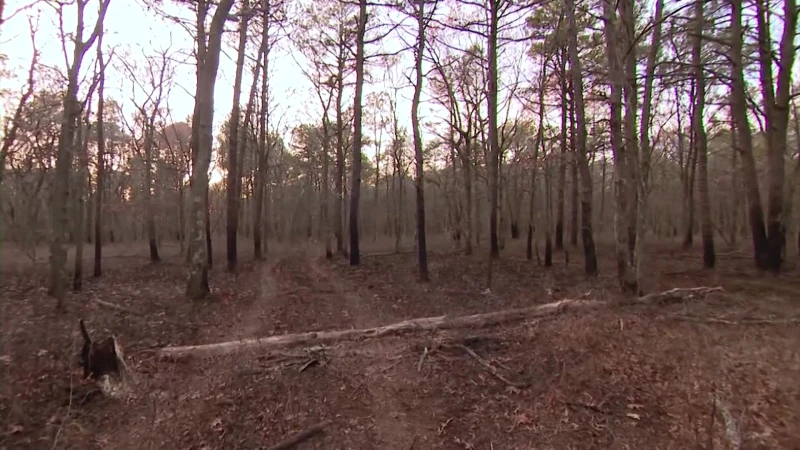 Story image: Suffolk firefighters discuss brushfire battles 