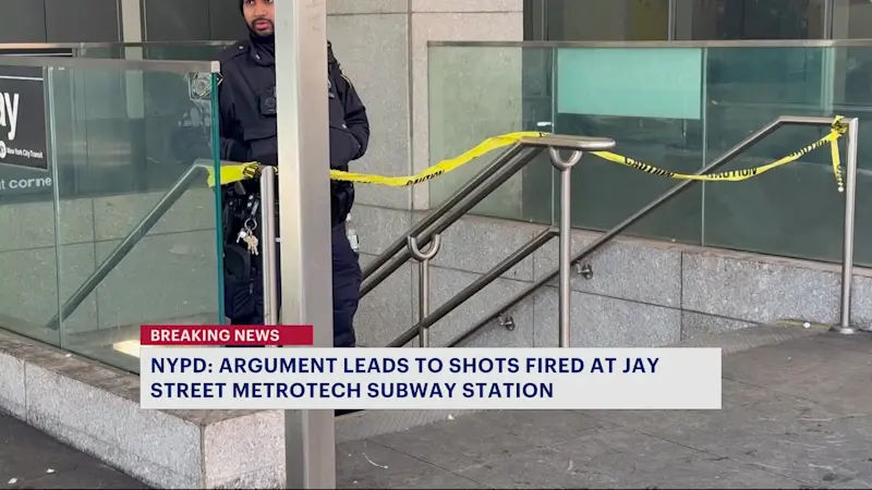 Story image: NYPD: Police continue to search for  man who fired gun inside Brooklyn station