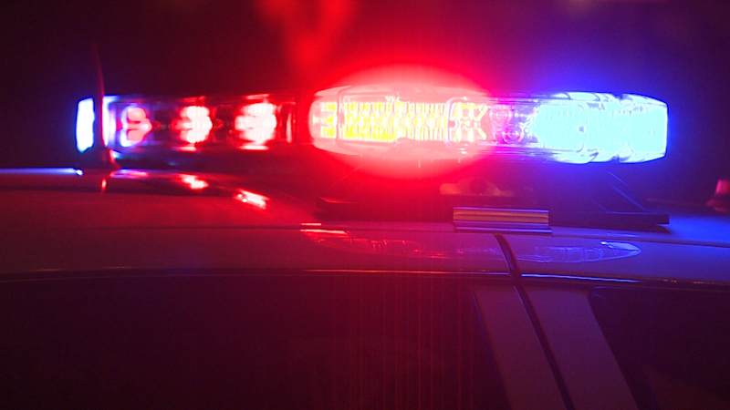 Story image: Police: Queens woman arrested in Commack massage parlor raid