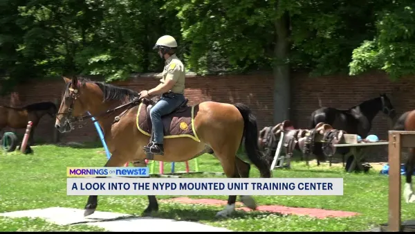 News 12 gets an inside look at what it takes to train officers and horses of NYPD’s Mounted Unit