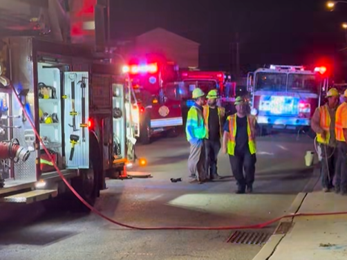 Credit: Michael Melham