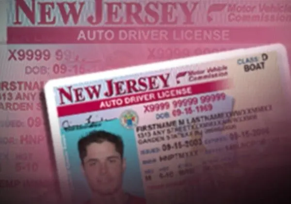 Article 117264 Thumbnail