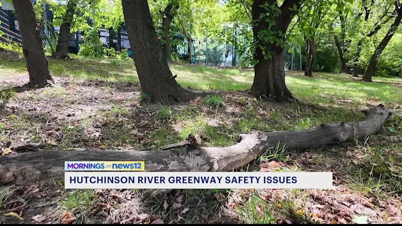 Story image: Bronx man demands safety upgrades to Hutchinson River Greenway after being injured by fallen tree branch