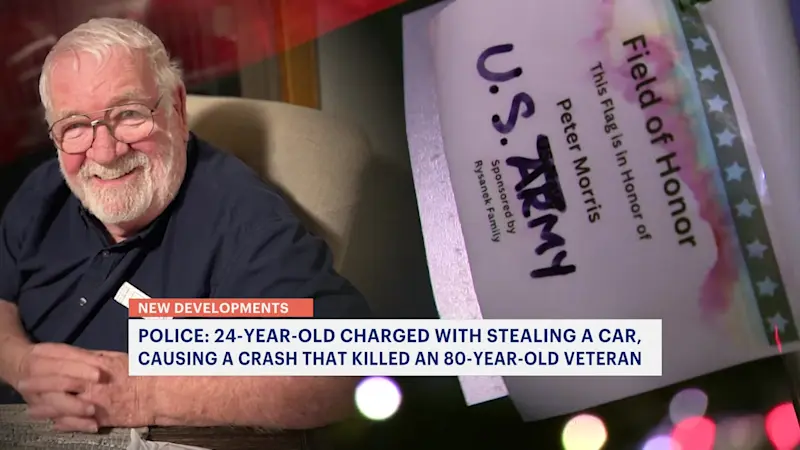 Story image: Hicksville man accused of crashing stolen car, killing veteran in South Farmingdale