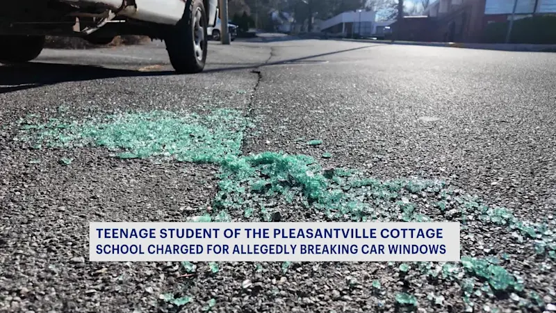 Story image: Pleasantville Cottage School student caught vandalizing cars in Thornwood area