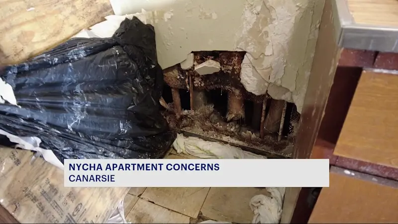 Story image: 'I could die in this house.' Canarsie woman pleads for help from NYCHA