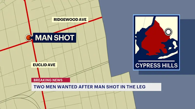 Story image: Police: 29-year-old man shot in the leg in Cypress Hills