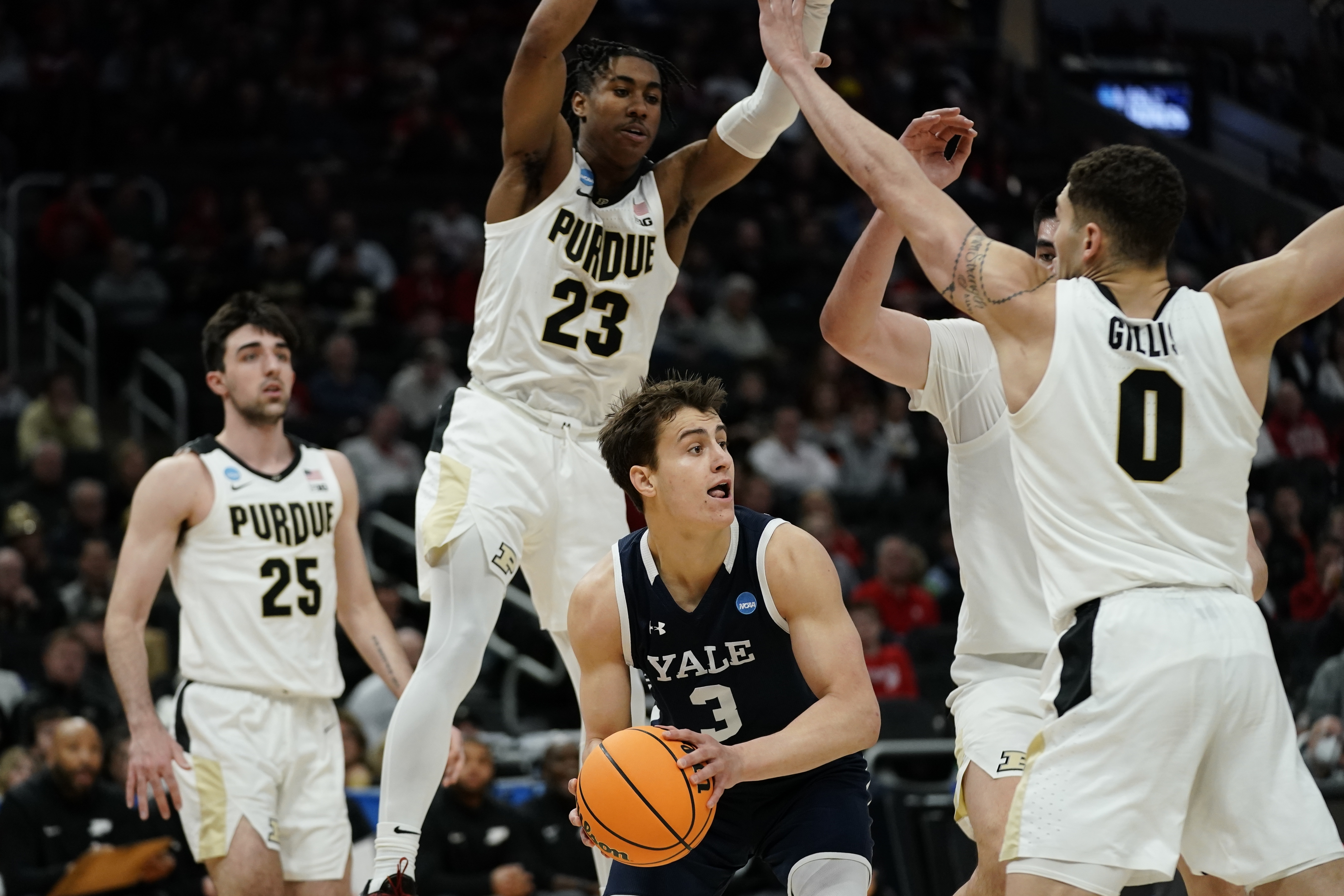 Article 288139 Hero Image