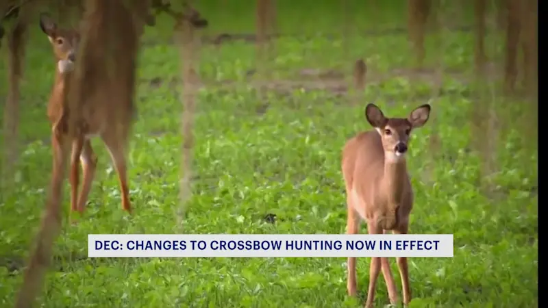 Story image: New law expands bowhunting options for Hudson Valley hunters