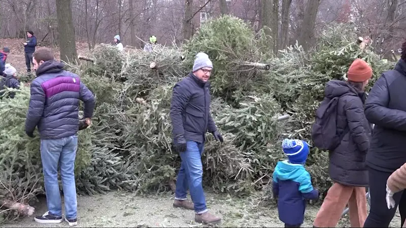 Story image: Mulchfest is here! NYC Parks helps people recycle holiday trees in the Bronx