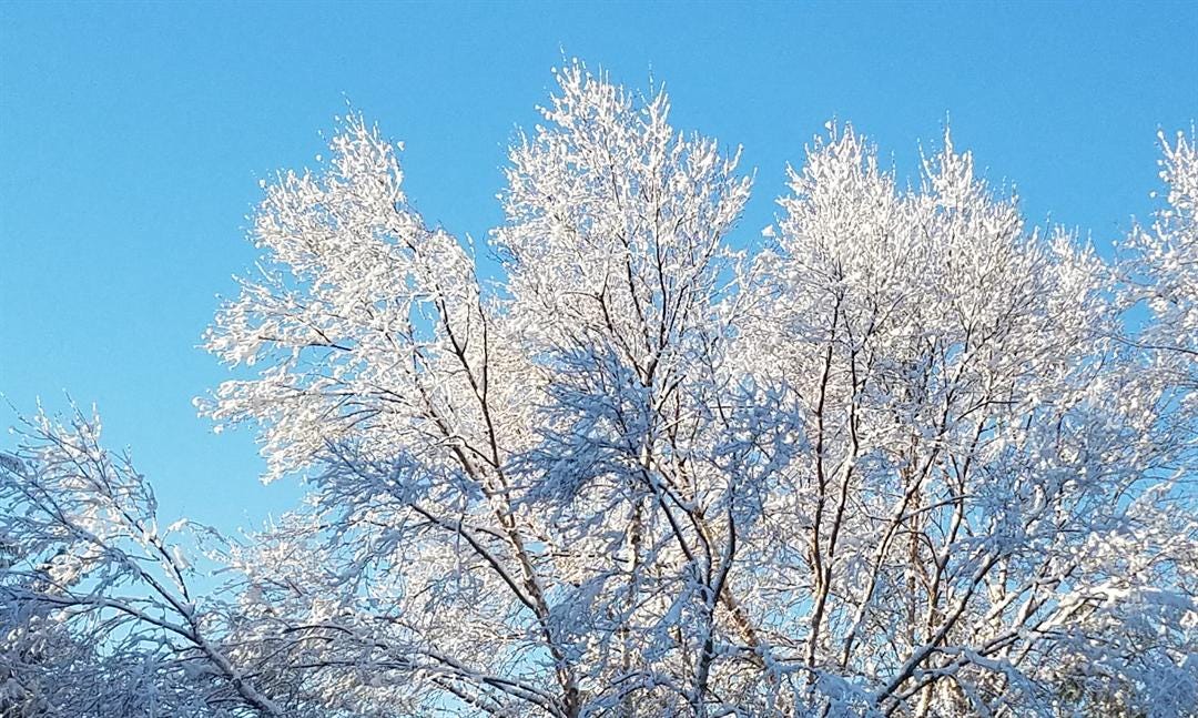 Article 116076 Thumbnail