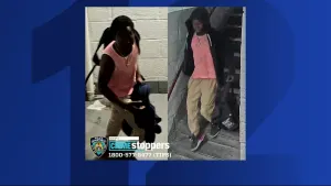 Man wanted for punching woman, striking her with a broom in Brooklyn, police say