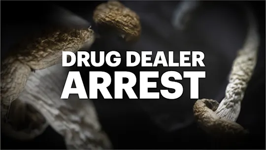 drug dealer arrest