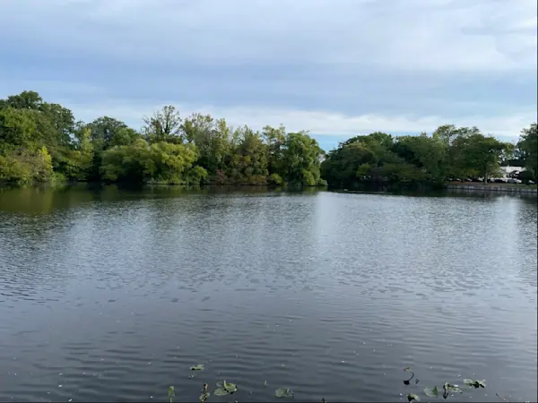 Story image: Unidentified woman found dead in Baldwin pond; homicide squad investigating
