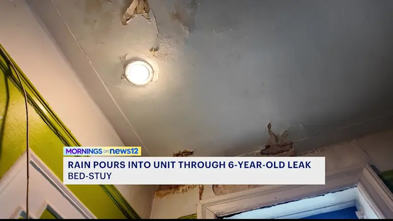 Story image: Couple says 2019 ceiling leak still letting stormwater into their Brooklyn co-op apartment