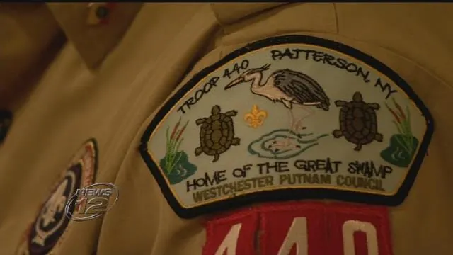 Article 50531 Thumbnail