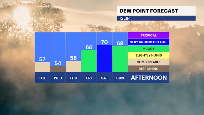 FB_Dewpoint_Daily.png