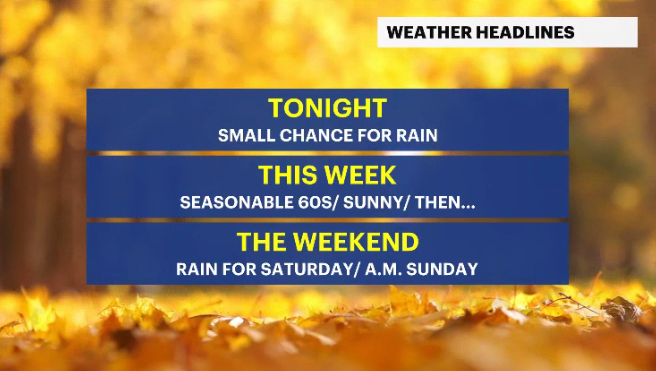 MicrosoftTeams-image (31).png