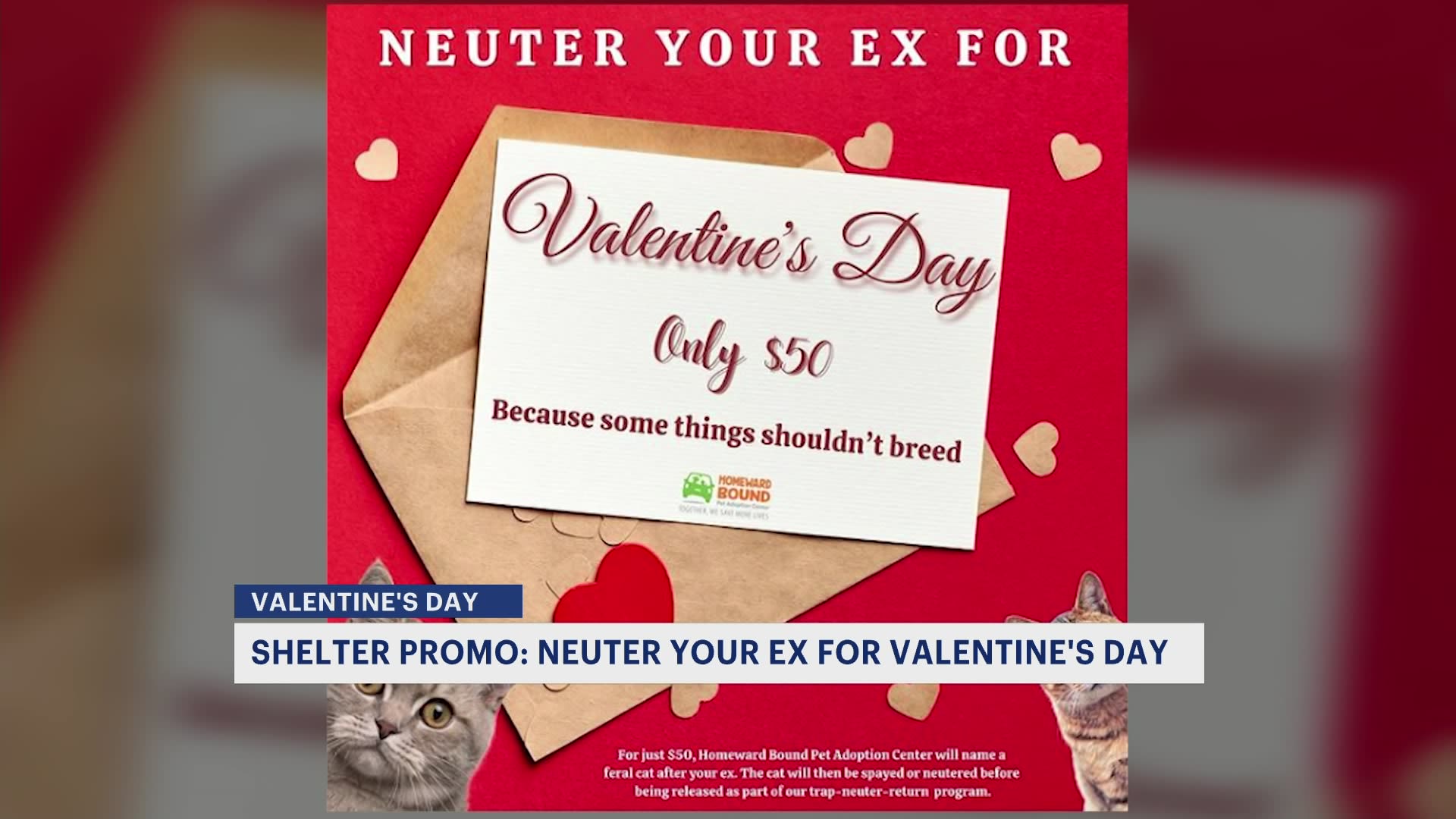 Neuter your ex for Valentine's Day at this South Jersey animal shelter