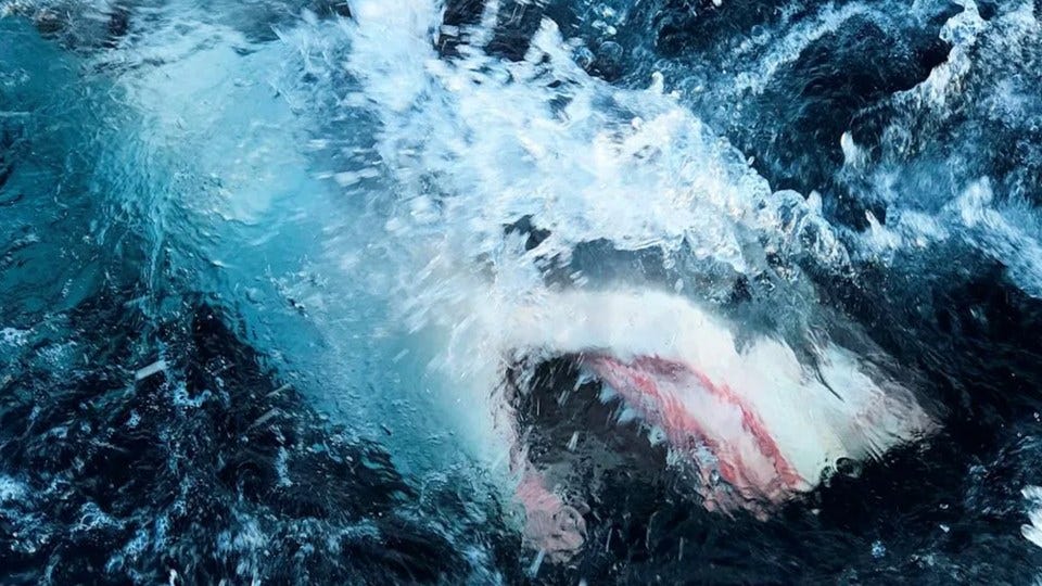 Article 14173 Thumbnail