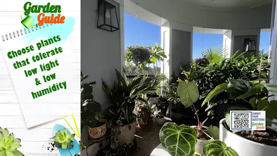 LIGardenguide212_2025-02-12-06-00-24
